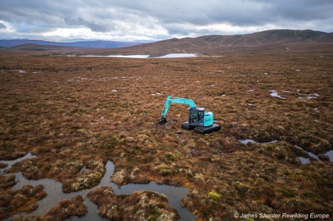 Peatland restoration